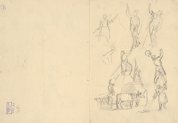 Ľudovít Feld – Štúdie kôz I. 