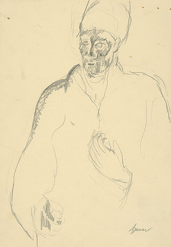 Konštantín Bauer – Agitátor 