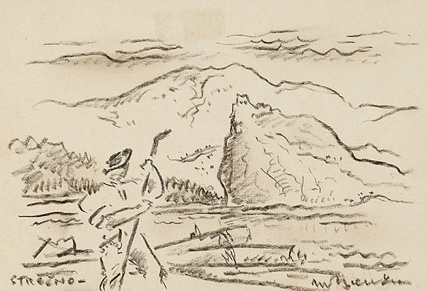 Martin Benka – Pltník pod Strečnom 