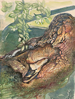 Karel Žaluda – Starý strom 