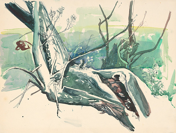 Karel Žaluda – Vŕba 