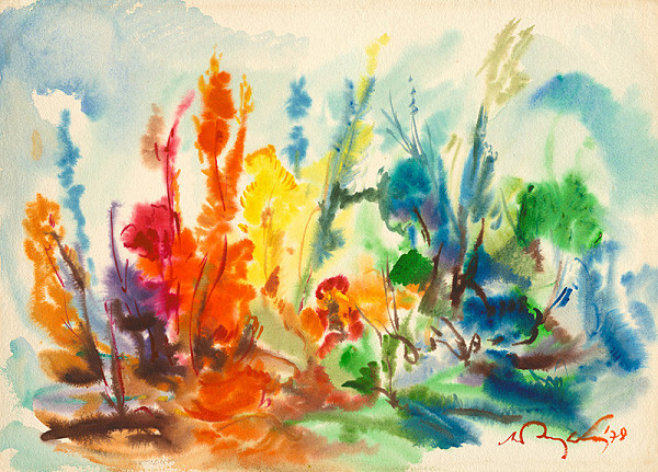 Mikuláš Rogovský – V botanike 