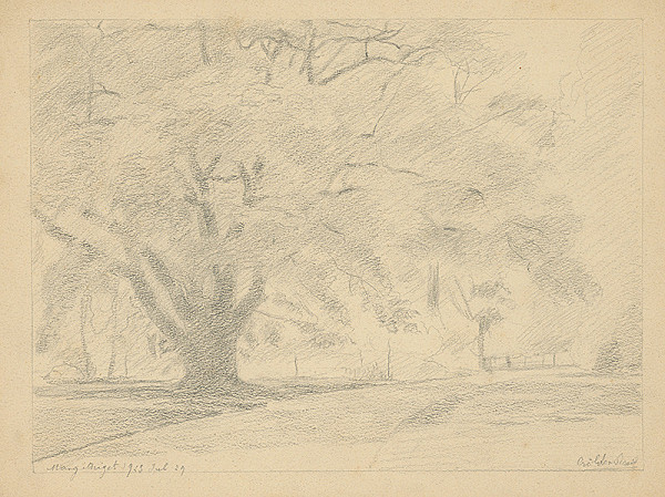 Dezider Czölder – Košatý strom 