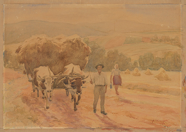 Jan Němeček – Z poľa 