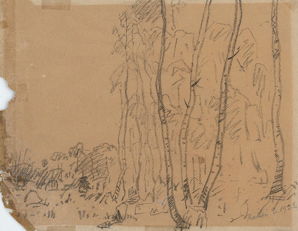 Ernest Rákosi – Brezy 