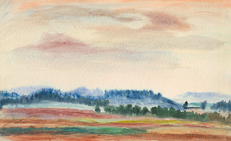 Anton Sučka – Z Haliče 