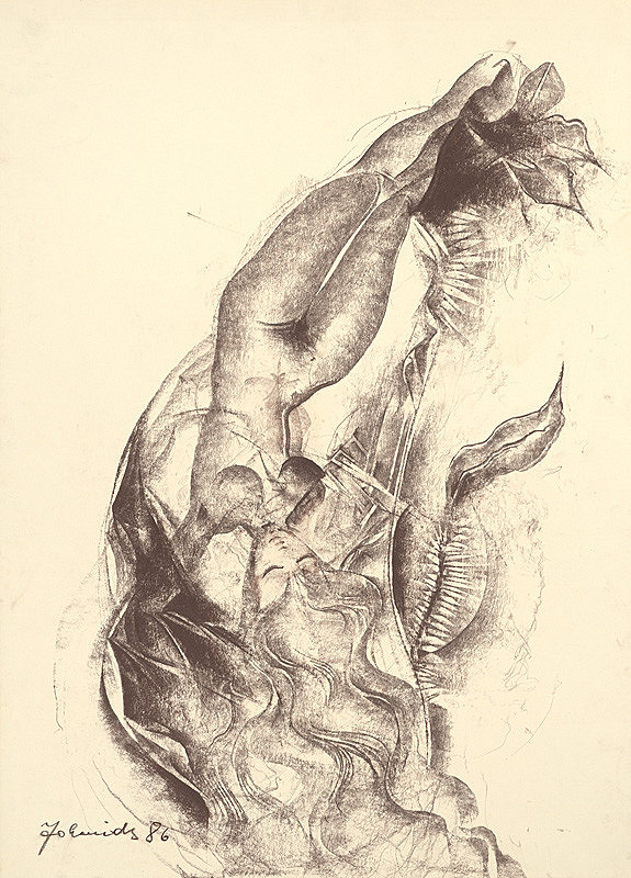 Milan Johanides – Sen 