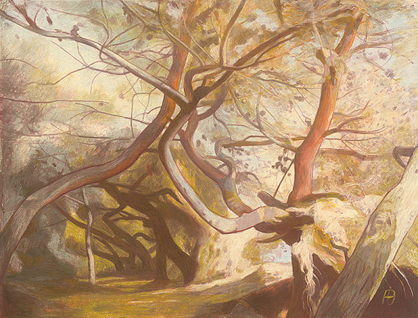 František Blažo – Mali Lošinj VII. 