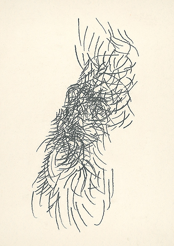 Peter Sceranka – Bez názvu 