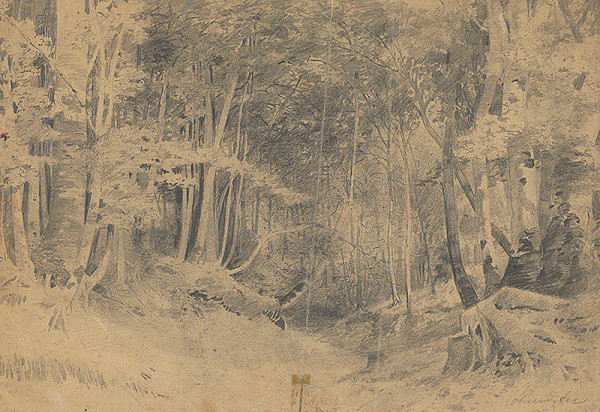 Ľudovít Čordák – Interiér lesa 