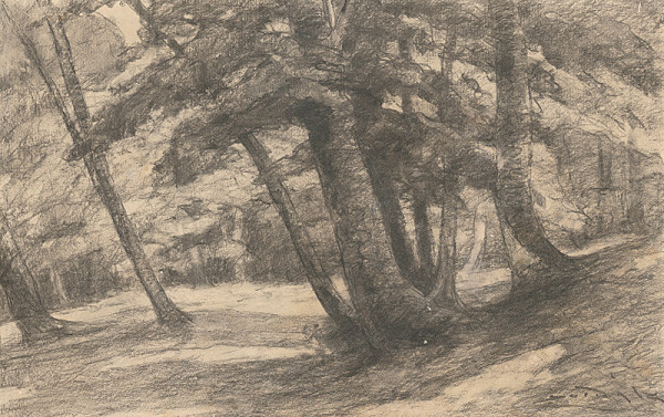 Ľudovít Čordák – Interiér lesa