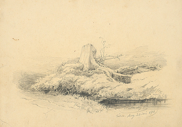 Eugen Wallachy – Štúdia pňa 