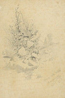 Alexander Prenoszil – Štúdia kvetov 