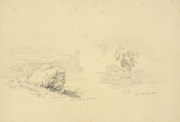 Eugen Wallachy – Štúdia skaly a stromov 