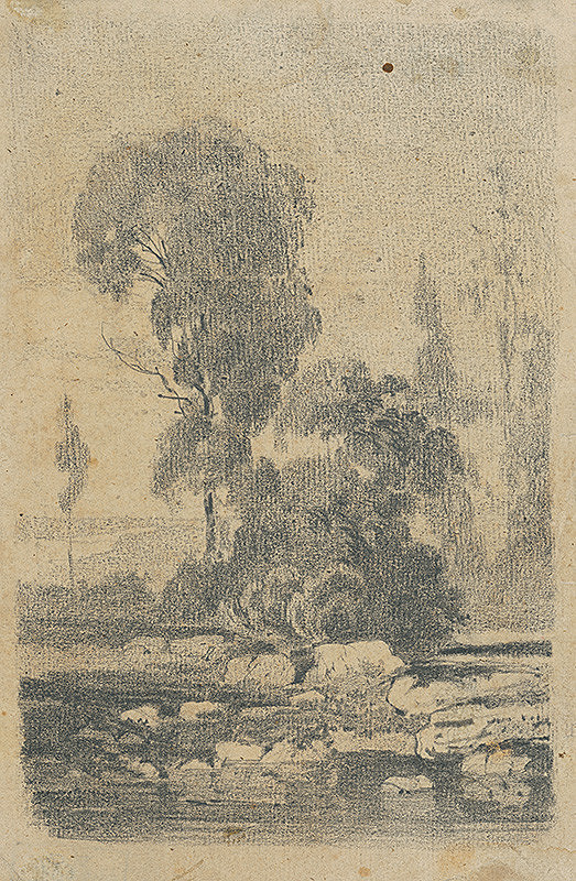 Július Török – Štúdia stromov 