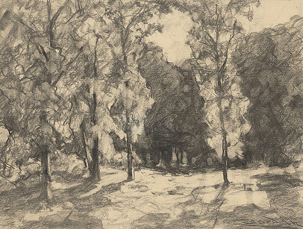 Ľudovít Čordák – Slnko v lese 