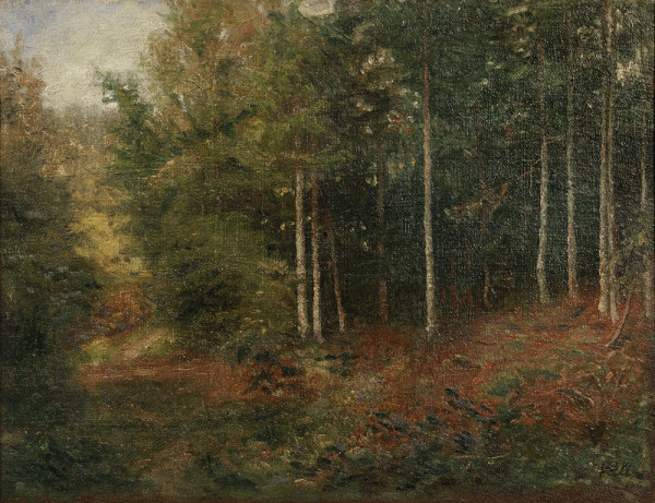 Ladislav Váli – Okraj lesa