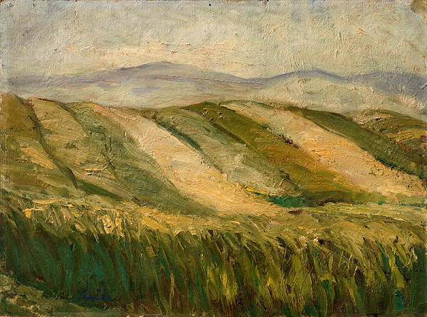 Anton Sučka – Na stráni 