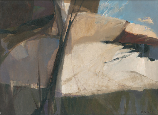 Marián Velba – Posledný sneh 