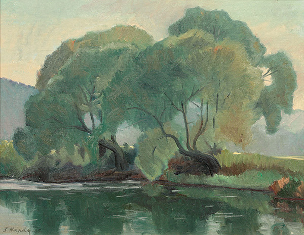 Štefan Hapák – Vŕby nad Popradom 