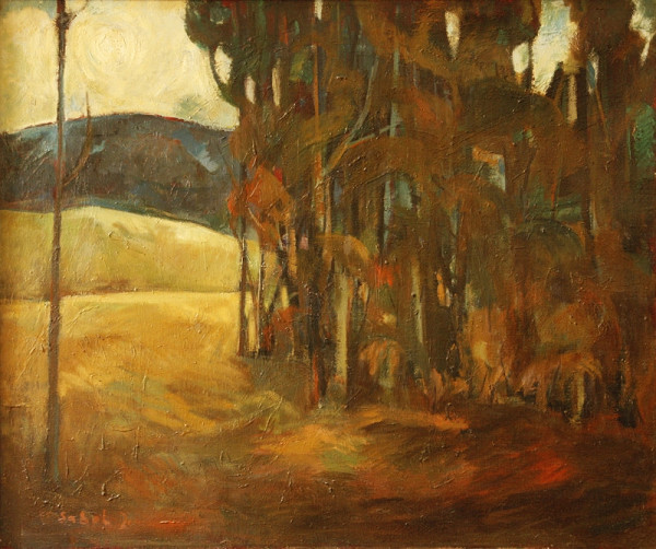 Jozef Sabol – Kraj lesa 