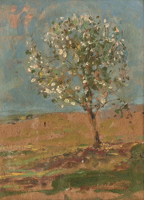 Juraj Collinásy – Rozkvitnutá jabloň 