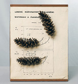 Michal Machciník – Lomová húževnatosť základného materiálu a zváraného spoja, Reliéfy pre Latoura 2 