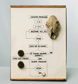 Michal Machciník – Začiatok programu, Reliéfy pre Latoura 5 