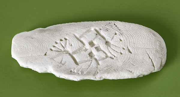 Alina Ferdinandy – Sépiová forma 5 