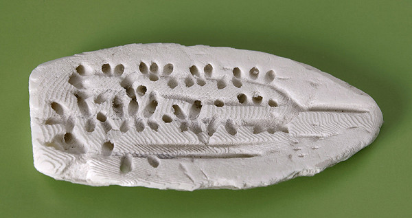 Alina Ferdinandy – Sépiová forma 6 