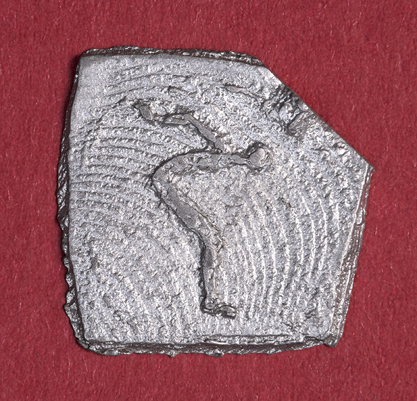 Alina Ferdinandy – Fragment skáčuceho plavca II.