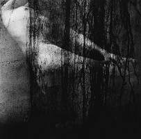 Viera Sláviková – Danaé I. 