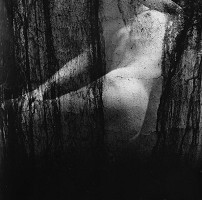 Viera Sláviková – Danaé III. 