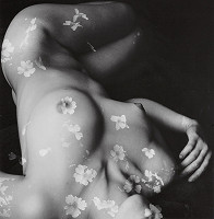 Viera Sláviková – Kvety zla II. 