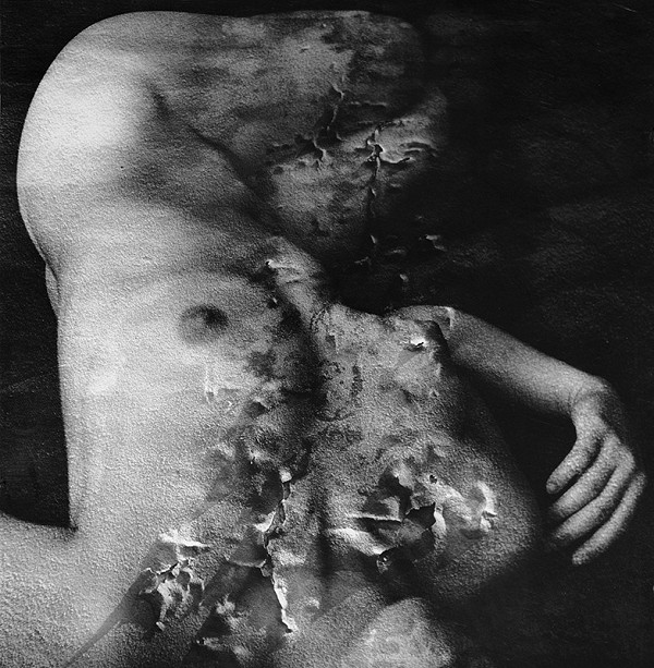 Viera Sláviková – Kvety zla IV. 