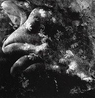 Viera Sláviková – Kvety zla VI. 