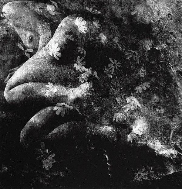 Viera Sláviková – Kvety zla VI. 