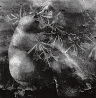 Viera Sláviková – Kvety zla VIII. 