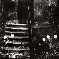 Viera Sláviková – Záhrady II. 