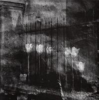 Viera Sláviková – Záhrady III. 