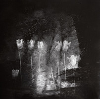 Viera Sláviková – Záhrady IV. 