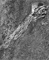 Viera Sláviková – Rozpomínanie 