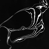 Viera Sláviková – Solarizácia II. 