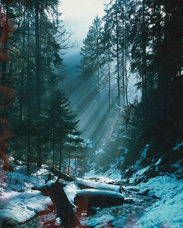 Alexander Jiroušek – Slovenský ráj - roklina Suchá Belá - 