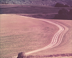 Jaroslav Šurkala – Cesta III. 