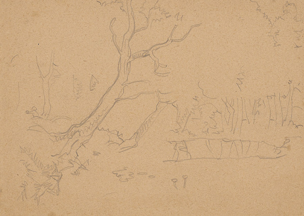 Július Koreszka – V lese 