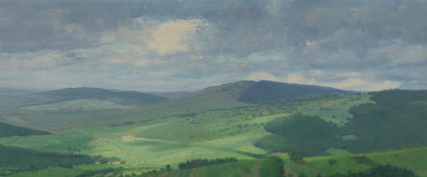 Zelené krajiny na mape