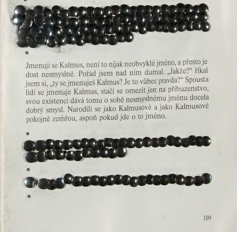 Peter Kalmus - Franz Kafka: Kalmus, detail